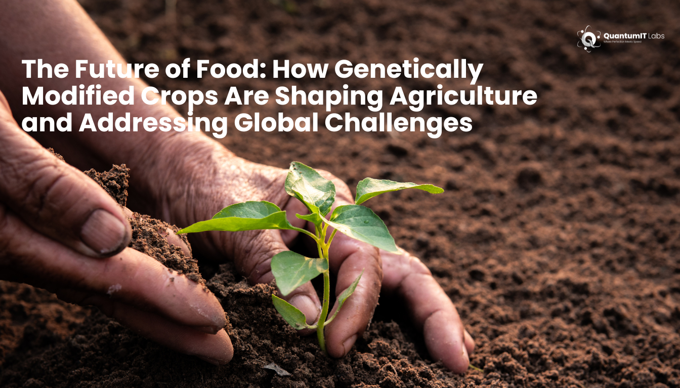 The Future of Food: How Genetically Modified Crops Are Shaping Agriculture and Addressing Global Challenges